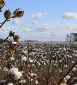 thumb_27_270_300_0_0_crop.jpg